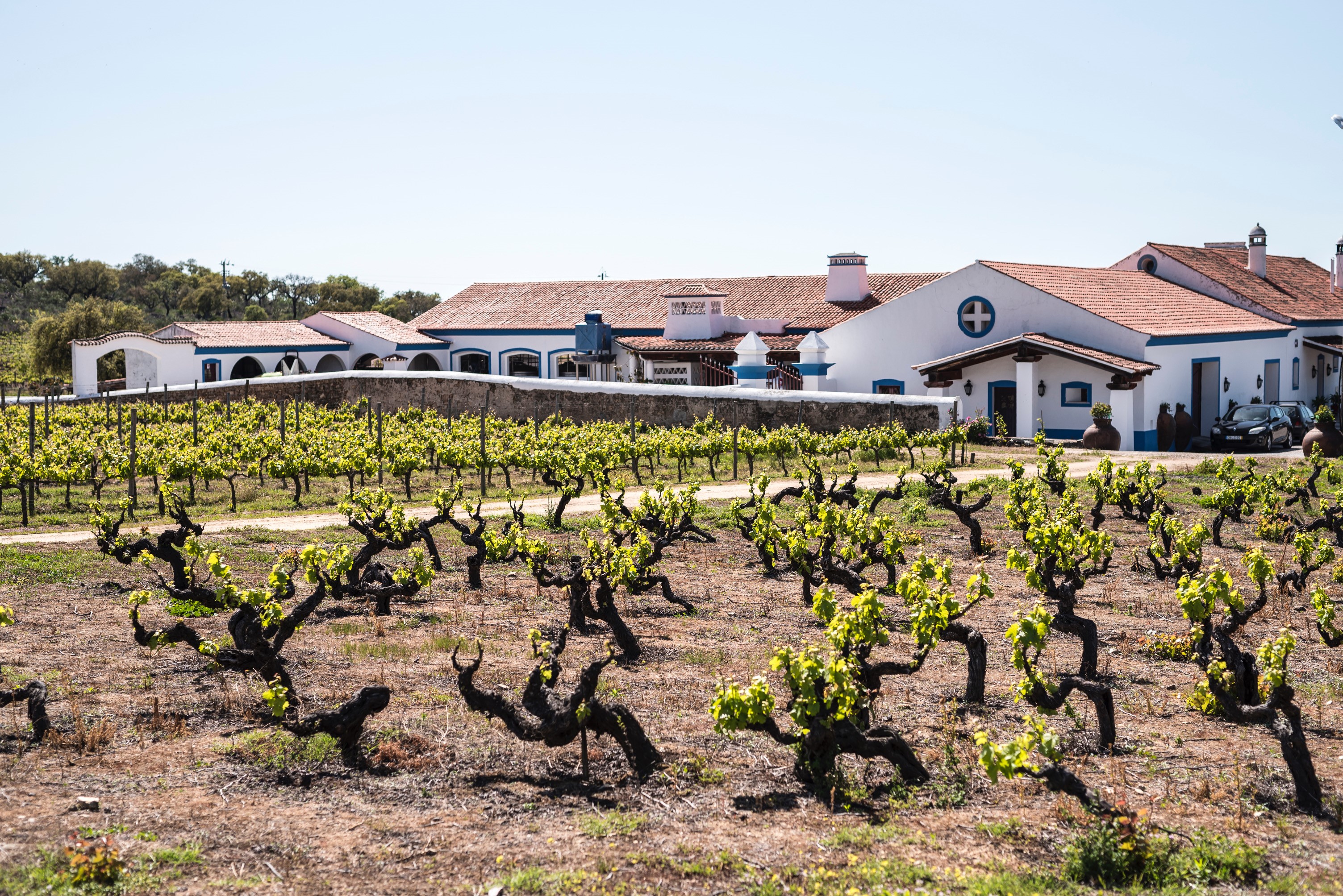 Imagem da adega - Seção Tapada do Chaves